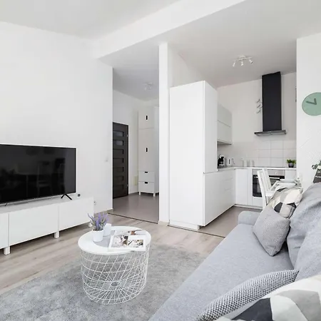 Modern With Air Conditioning And Parking In Cracow By Renters