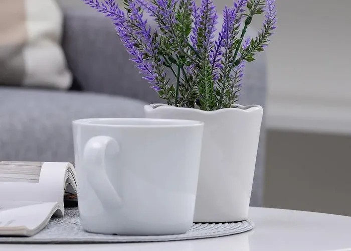 Modern With Air Conditioning And Parking In Cracow By Renters شقة *